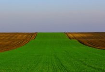 RGZ: Jutro oranica u Irigu prodato za 199.682 evra!