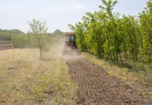 Otvoren IPARD 3 poziv za sektor voćarstva, prijave do 31. decembar