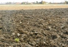 Ministarstvo zaštite životne sredine raspisalo konkurs za projekte zaštite zemljišta, prijave do 6. maja