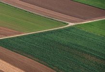 Grad Novi Sad izdaje 236 hektara poljoprivrednog zemljišta na 15 godina, prijave do 19. januara