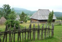 Poruke naučne konferencije “Održiva poljoprivreda i ruralni razvoj”: Nema ruralnog razvoja bez podrške urbanog