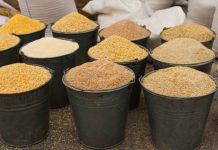 ĆUPRIJA: Fabrika stočne hrane proširuje kapacitete