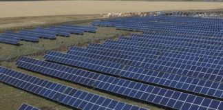 Prvi agrosolarni projekat na Balkanu u Kuli, proizvodnja struje na više od 700 hektara