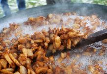 Novembar Fest 28. i 29. novembra