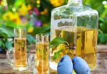 PROKUPLJE: Stručno savetovanje voćara i ocenjivanje kvaliteta rakija 7. novembra