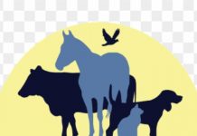 Ministarstvo poljoprivrede: Počela javna rasprava o Nacrtu zakona o hrani za životinje