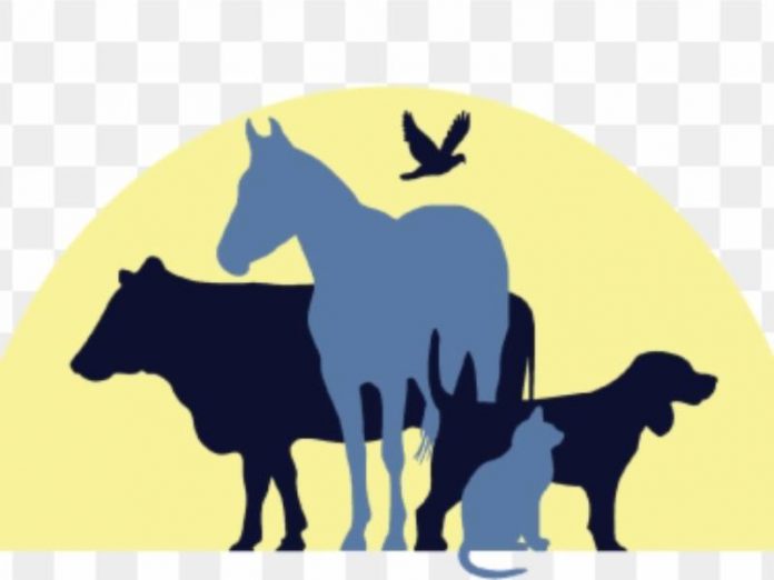 65-657046_logo-veterinary-logo-png