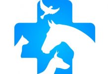 Srbija na listi zemalja koje ispunjavaju nove standarde EU za upotrebu veterinarskih lekova