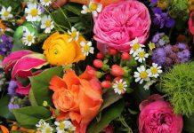 KULA: Prolećni festival cveća 17. i 18. aprila