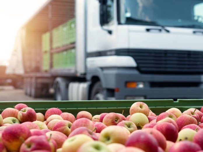 keep-your-fruit-and-vegetables-fresh-with-the-proper-logistics-packaging-2