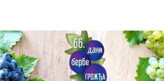 Vršački grožđebal 12. septembra