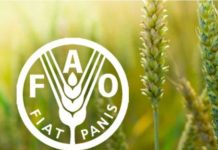 Glamočić: Saradnja sa FAO vidljiva na terenu i usmerena na strateške prioritete poljoprivrede u Srbiji