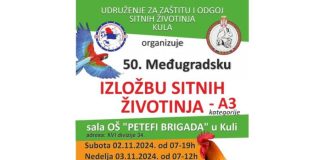 Međugradska izložba sitnih životinja u Kuli 2. i 3.novembra