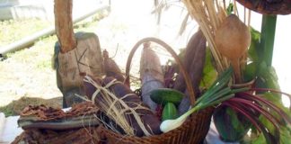 Identifikacija i mapiranje tradicionalnih proizvoda Vojvodine sa geografskim poreklom