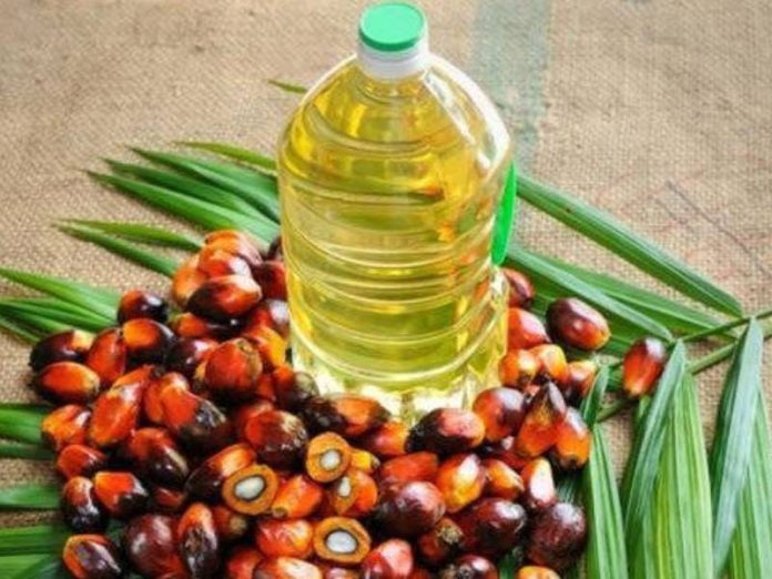 100-pure-natural-unrefined-palm-edible-oil-for-cooking-food-804 (1)