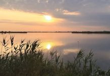 U ribnjaku „Sutjeska“ kod Sečnja: Spremno 60O tona ribe za slavsku trpezu