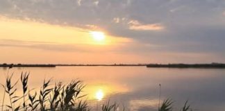 U ribnjaku „Sutjeska“ kod Sečnja: Spremno 60O tona ribe za slavsku trpezu