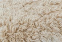 BUJANOVAC: ZZ “Bujanovčanka” krenula sa proizvodnjom organskog đubriva od ovčje vune