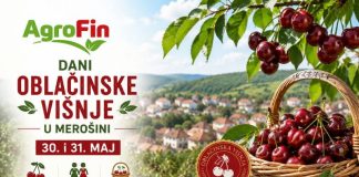 Danas i sutra Dani oblačinske višnje u Merošini