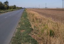 ADA: Više od 2.000 sadnica za novi vetrozaštitni pojas
