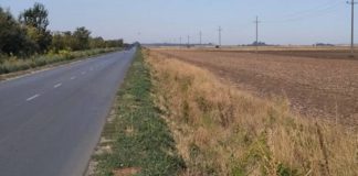 ADA: Više od 2.000 sadnica za novi vetrozaštitni pojas