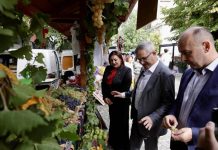 Glamočić otvorio Oplenačku berbu: Vrednost izvoza vina dostigla je 22,6 miliona evra, nastavljaju se mere podrške vinogradarima
